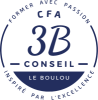 3B CONSEIL